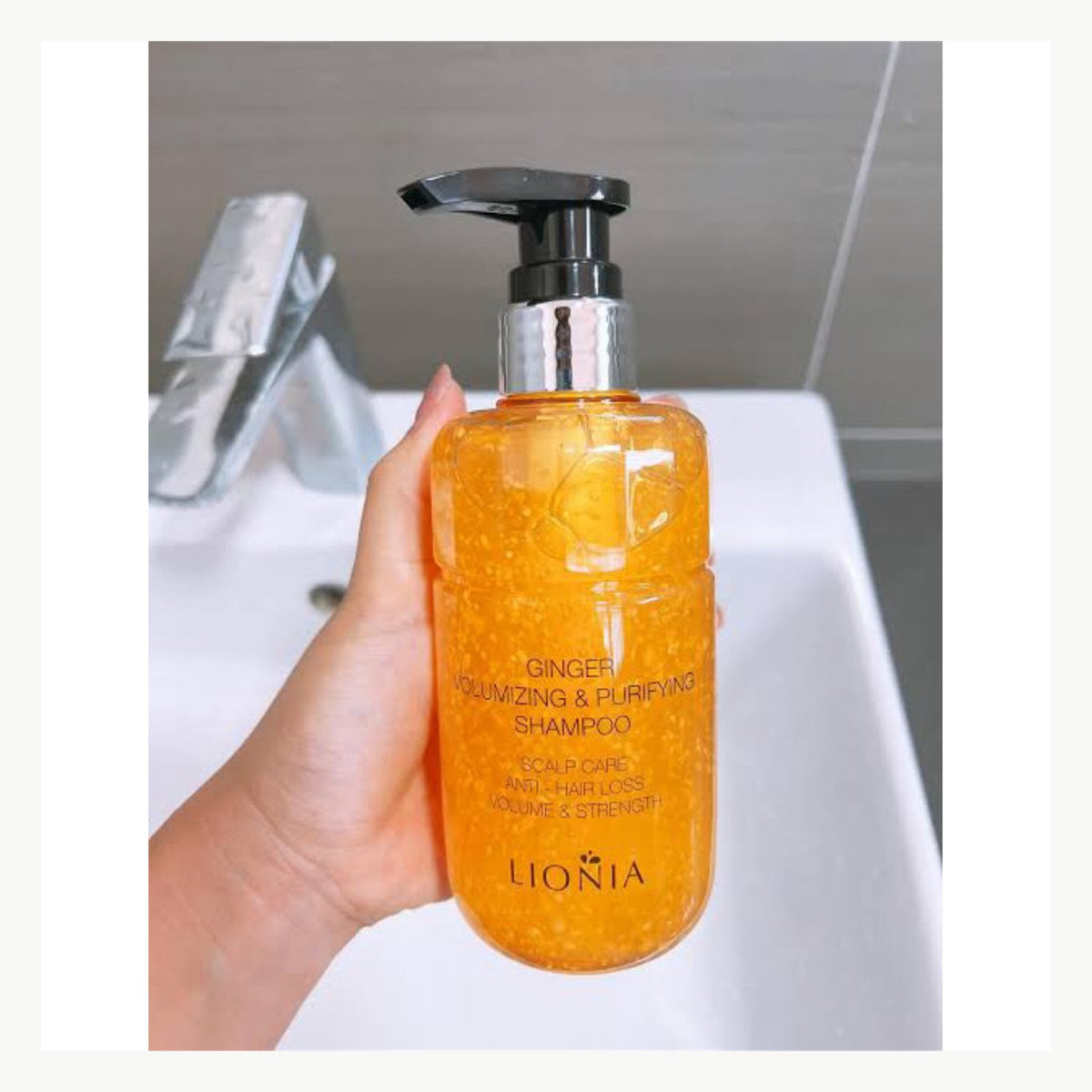 Lionia Thujone Ginger 生薑洗髮精 300ml